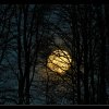20121029_0001